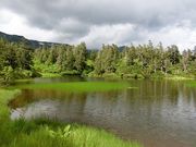 ɂǂ񂳂̑ፂ̓eʐ^3