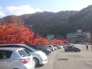 ꂨ񂳂̉͌Ό@̓eʐ^2