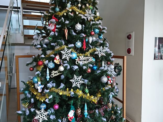 NX}Xc[_h~jN hD[Z̓X 鎭{X