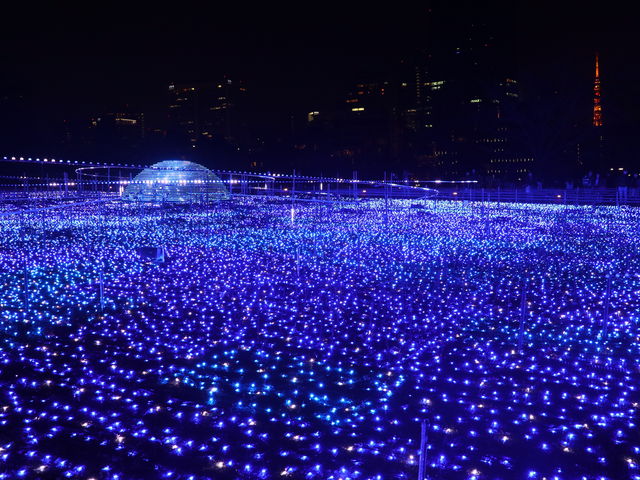 �������瓌���^���[�������܂�_�����~�b�h�^�E��