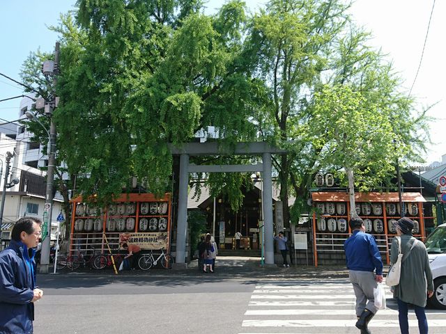 ����_�z�n�E�g���_��