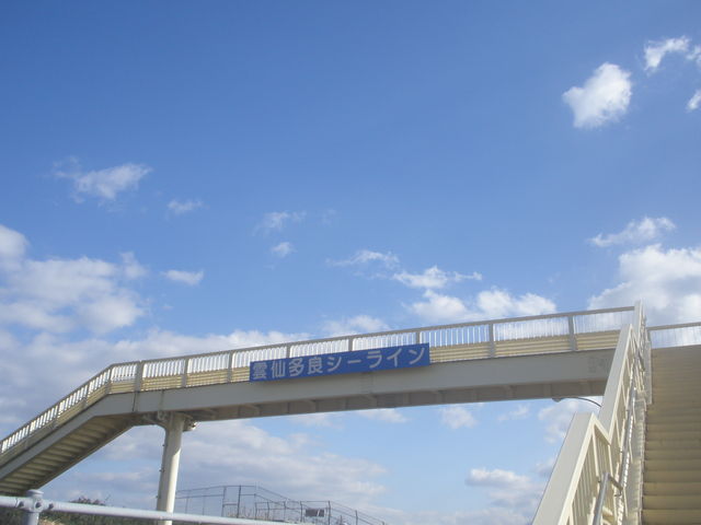 �_�命�ǃV�[���C��_�|���p�����h���H���󂯒�h�W�]��