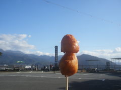 ���ʂ��W���[�W����̐�X�Ίό��Z���^�[�ւ̓��e�ʐ^1