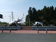 傤̓̉w ɂ̏̓eʐ^1