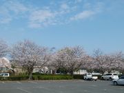 傤̓̉w ɂ̏̓eʐ^2