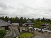 pon񂳂̓厛JR̓eʐ^1