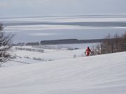 ^_V񂳂̊Cʊx̓eʐ^2