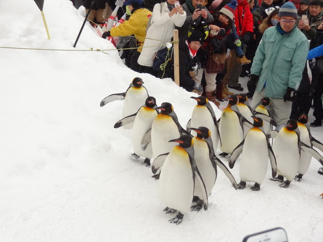 �y���M���U��_���R������