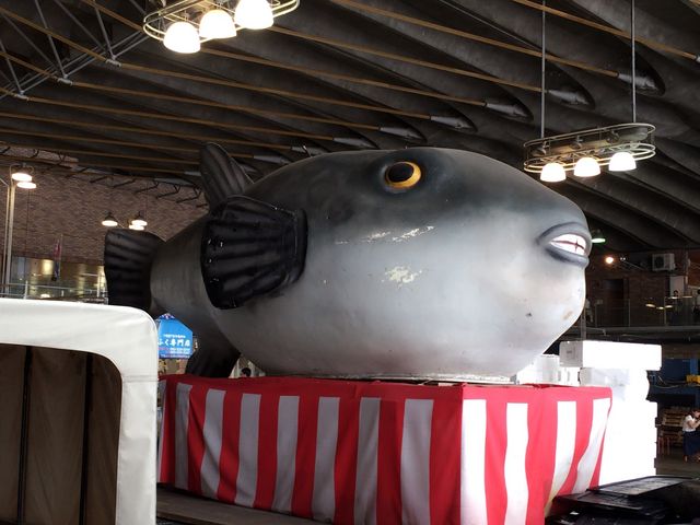 �ł������t�O�����o�}��_���ˎs��i���������n�֊X�j