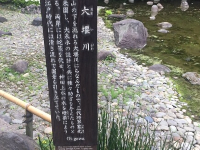 �ɂ₩�ȗ���ł��B_�剁��(���ΐ��y��)