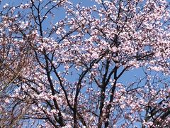 񂳂񂳂̓̉w É^ւ̓eʐ^1