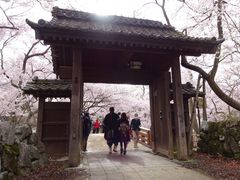 V񂳂̍隬@≮ւ̓eʐ^1