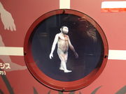 䂤񂳂̈sȊwكTCp̓eʐ^3