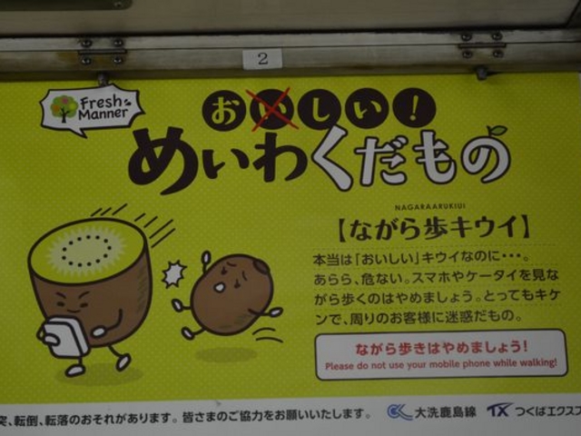 �������I�@�߂��킭�����́@�u�L�[�E�B�v_�����ՊC�S����􎭓����u���w�v