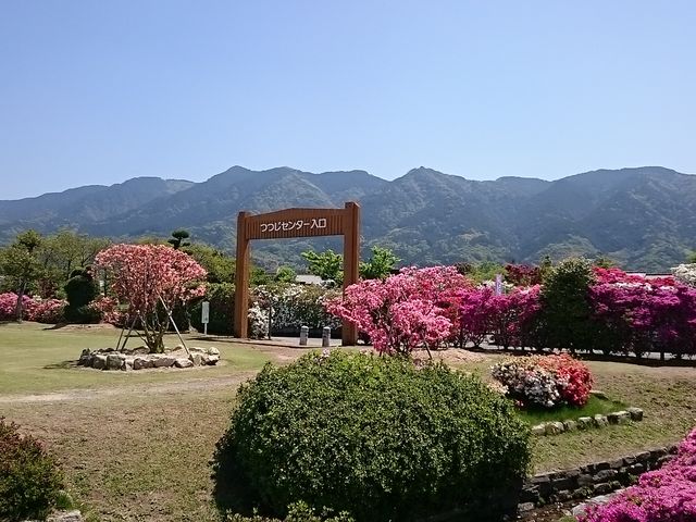 ���[�A�R���o�b�N�ɂ�����_���[�A�R