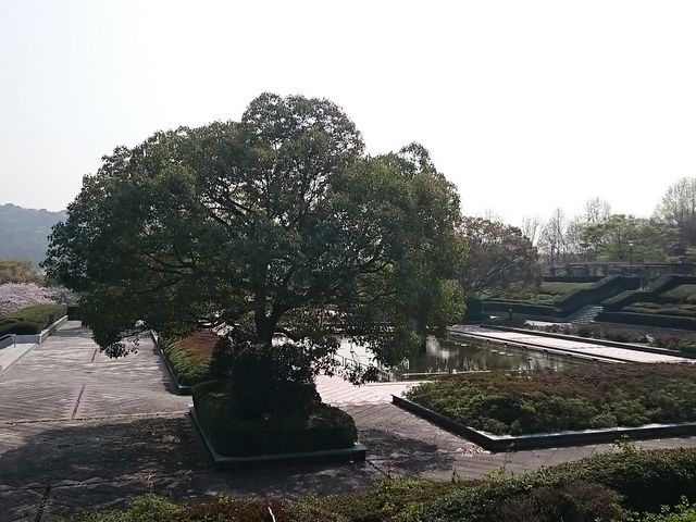 ���񂿂�񂳂�̉i���R�����^������̓��e�ʐ^1