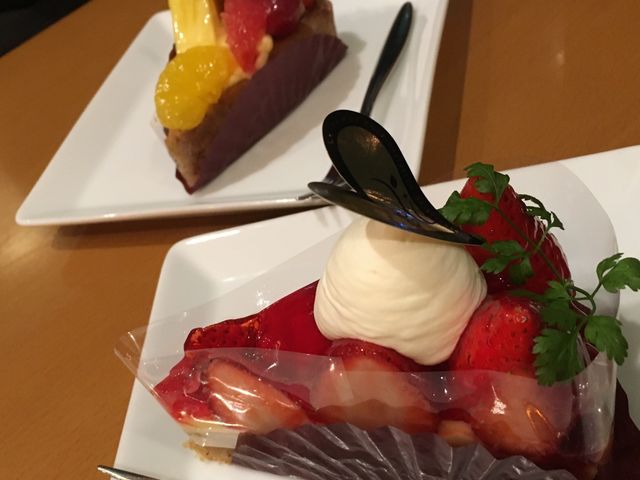 ^g_OCXK[fvX GRACE GARDEN plus+