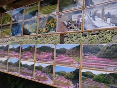 񂿂񂳂̑哹ōւ̓eʐ^1