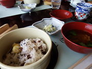 ԁ[q̓ÃV[TChze̓eʐ^6