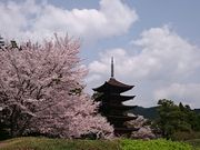 ���񂿂�񂳂�̍��R�����E�ڗ������^������̓��e�ʐ^1