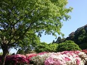 񂿂񂳂̋vĐXт̂̓eʐ^1