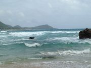 Ƃ܂Ƃ܂̎LC݂̓eʐ^1