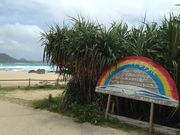 Ƃ܂Ƃ܂̎LC݂̓eʐ^2