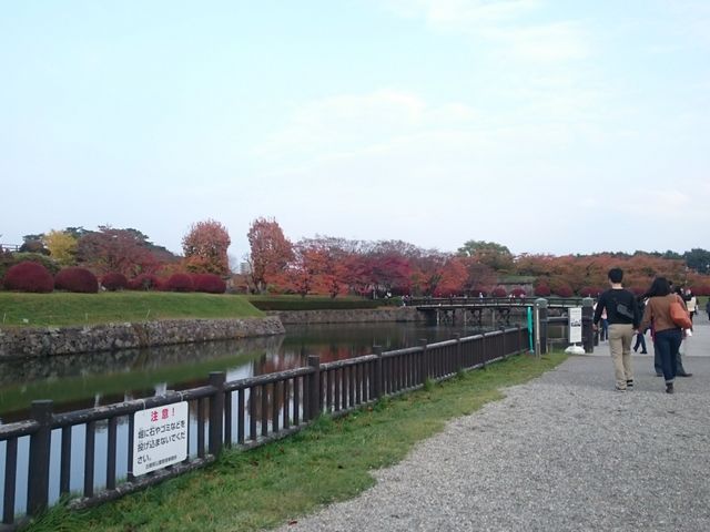 �����̓��������A�����Y��ȍg�t���݂��܂����B_�ܗŊs����