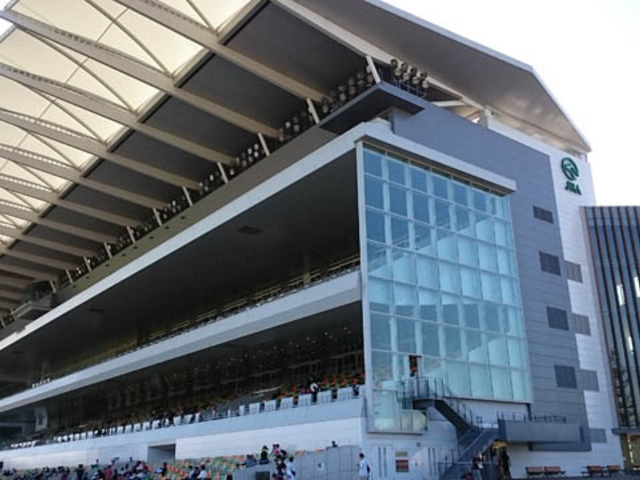 ���Ă���_�������n��