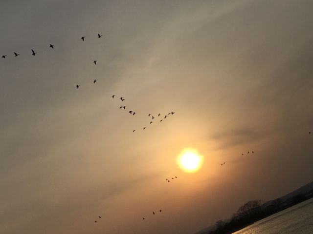 �ʐ^���Ə������c_�{����