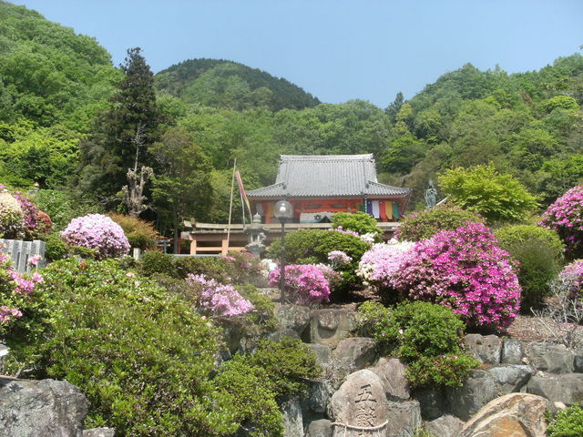 ibokororïŷ̓eʐ^2