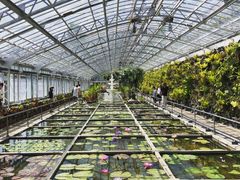 noeliam1120̔Moiijւ̓eʐ^1