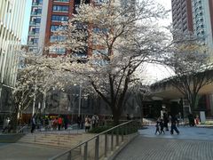 QBC̘Z{؃qYւ̓eʐ^1