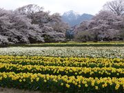 �C�[�X�g�E�b�h����̎������̓��e�ʐ^1