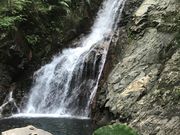 炳炳񂲂̔n̓eʐ^1