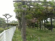 ibokororǐsǎOin̓eʐ^1