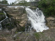 ibokororǐȎq̑̓eʐ^1