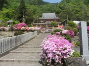 ibokororïyiL{sj̓eʐ^2