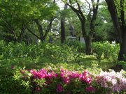 ߂ڂڂ̐DcMƔZP̓eʐ^1