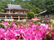 ibokororïŷ̓eʐ^1