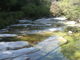 ibokororiさんの面河渓の投稿写真1
