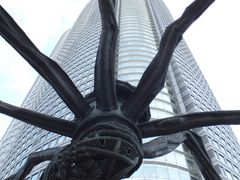 miyosiko̘Z{؃qYւ̓eʐ^1