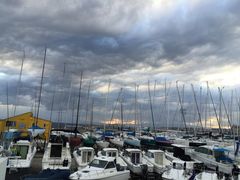 ELLE̗tR}[iւ̓eʐ^1