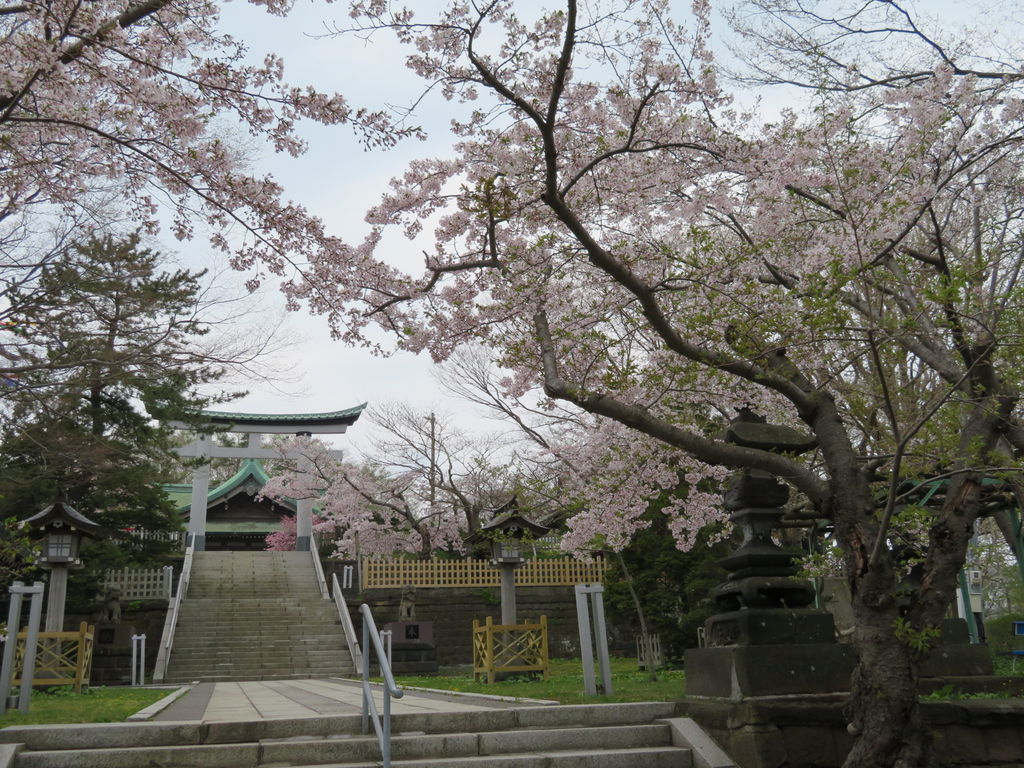 北海道のその他神社 神宮 寺院ランキングtop10 じゃらんnet