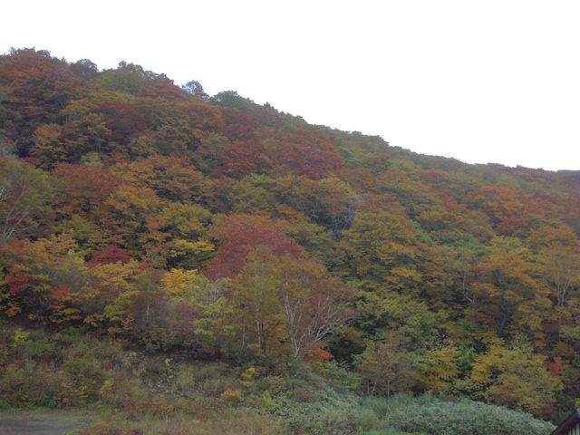 EGX^C[Xg̍̍gt̓eʐ^1