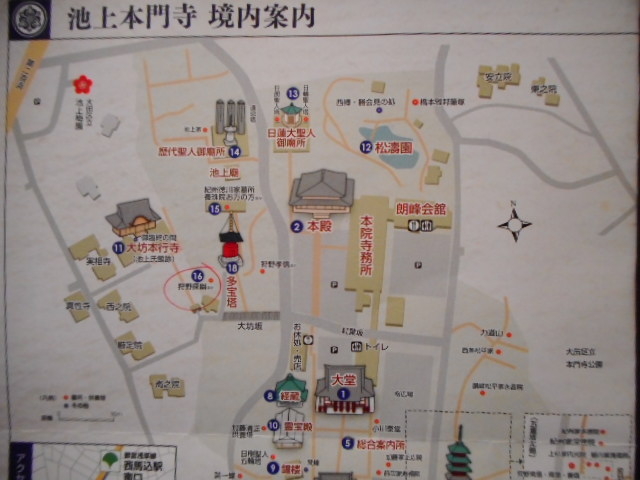 ���T�H�̕�