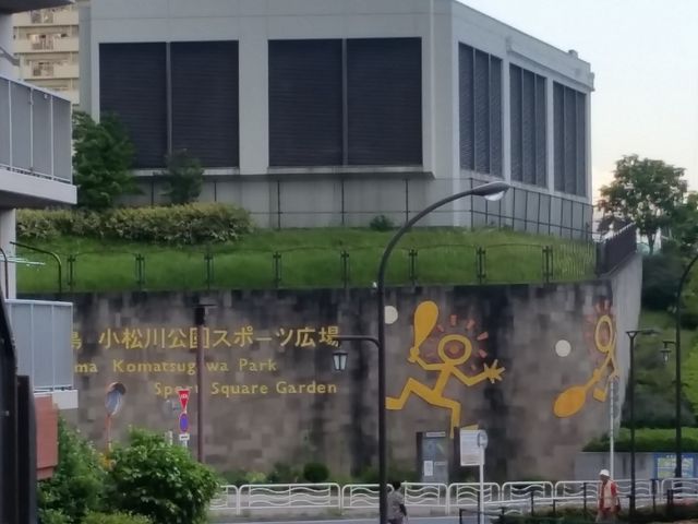 ���哇�w�̑哇����_�哇���������