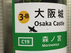 �̂�̂肳��̑��s�c�n���S�X�m�{�w�ւ̓��e�ʐ^1