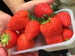 ܂񂳂̊΂t@[Nakaiwaւ̓eʐ^1