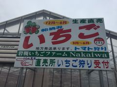 ܂񂳂̊΂t@[Nakaiwaւ̓eʐ^3